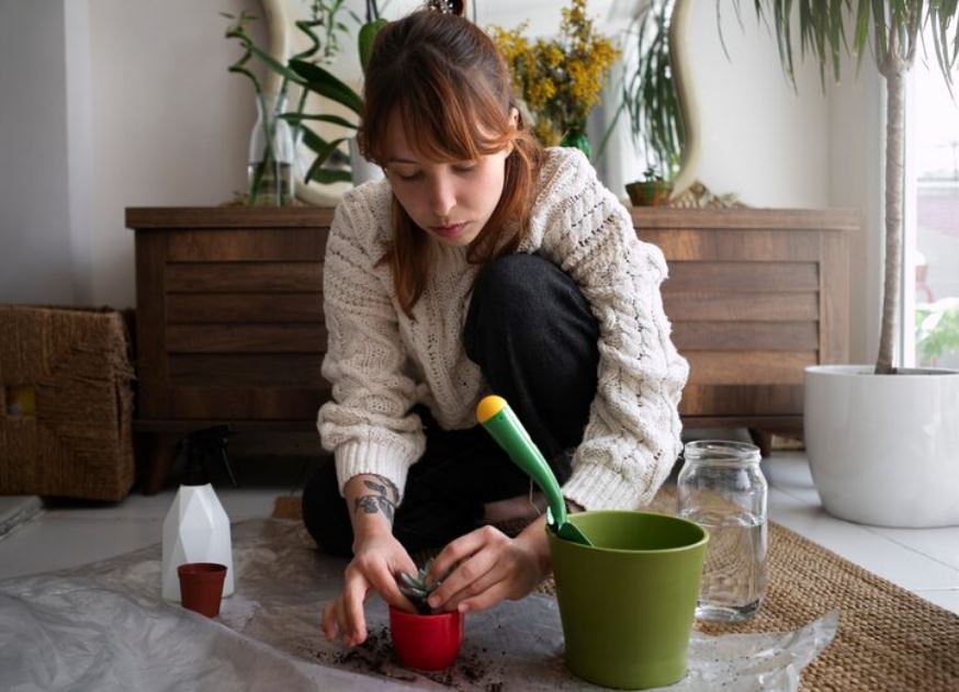 La guía definitiva para decorar sin dañar el planeta